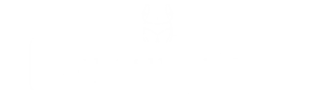 Liposuccion